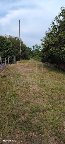Tanah kategori open untuk dijual, Kampung Sawah, Port Dickson. 1