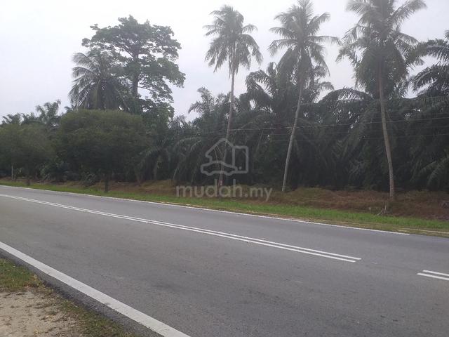 kb sawit tepi jln raya sengarang 1