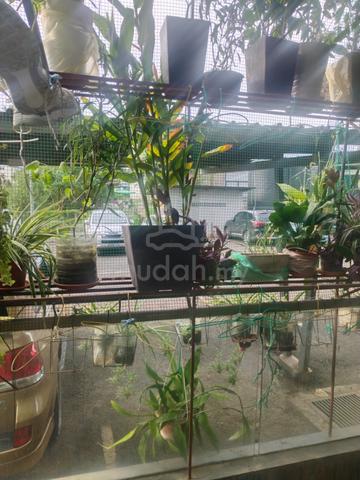 Palm Garden Condo Apartment, Lahad Datu 1