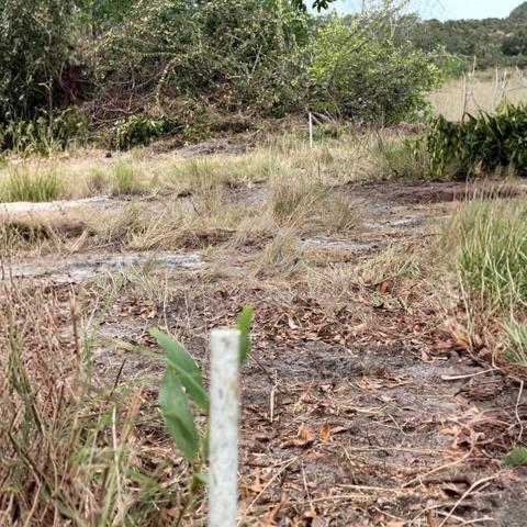 Terengganu Setiu Residential Leasehold Land For Sale 1