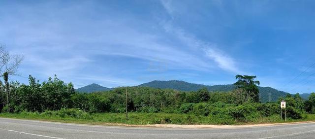 Tanah Pertanian 1/2 Share (Main Road), Lenggong, Perak 1