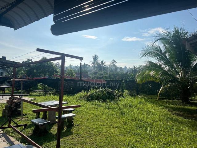 [RENOVATED&CORNER]Bandar Sunggala Teres Setingkat Untuk Dijual 1