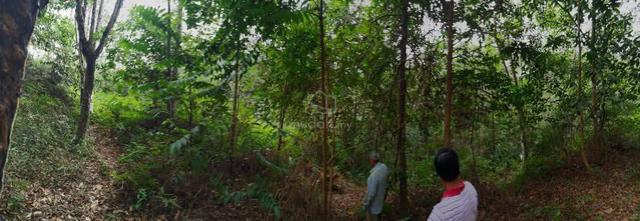 Non Bumi land For sale 1