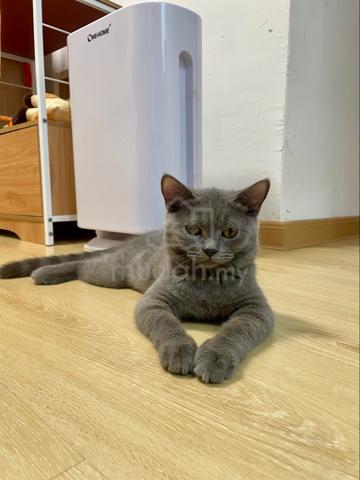 Carousel Image