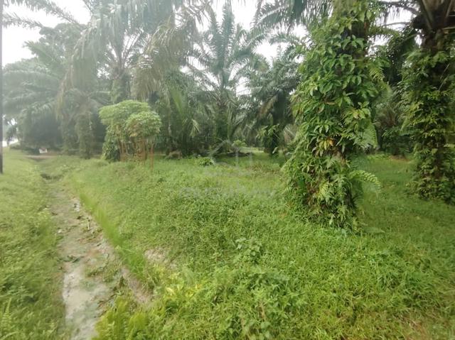 Tanah 1.022 Ekar Dim Kg Dalam Ayer Baloi Pontian 4