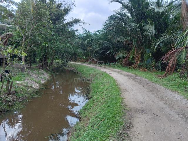 Tanah Pertanian Untuk Di Jual 1