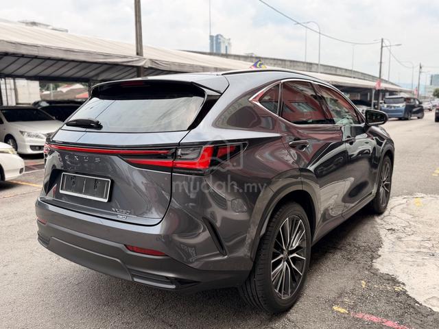 Lexus NX250 Luxury CBU *Under Warranty Dec 2029 - 4