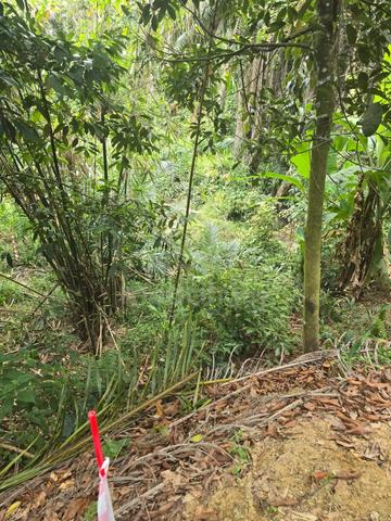Land for sale Tanah Pertanian Kg Semangar Dalam Kota Tinggi 1
