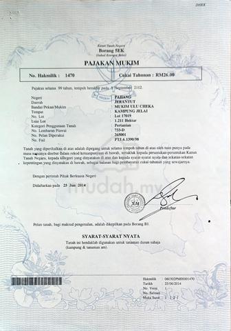 Tanah Pertanian untuk dijual 1