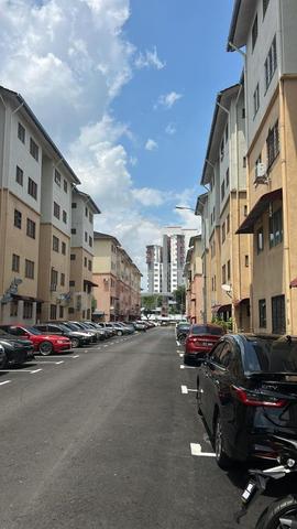 Dahlia (Seremban) 1