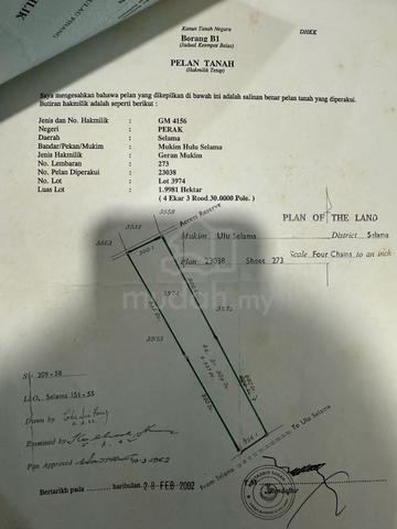 Oil Palm Tree Two Land Side by Side For Sales 4