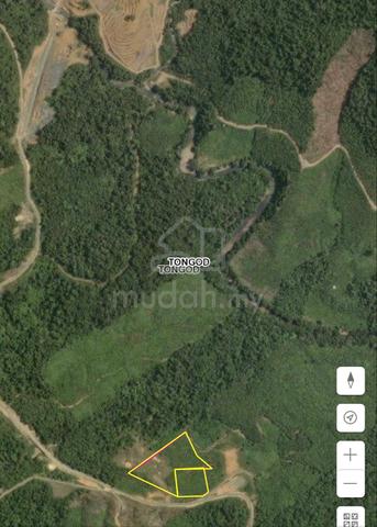 Tanah 10ekar Tepi Jalan Tongod -SOOK untuk dijual 1