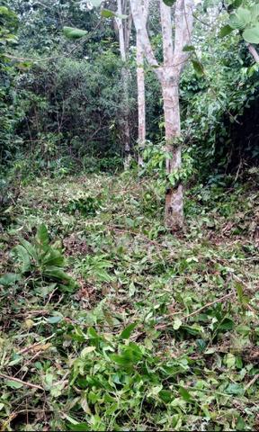 Tanah Tepi jalan Utama Lenggong-Gerik 1