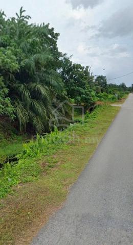 TANAH 3.41 EKAR PARIT 10 SG PANJANG, Sungai Besar 1