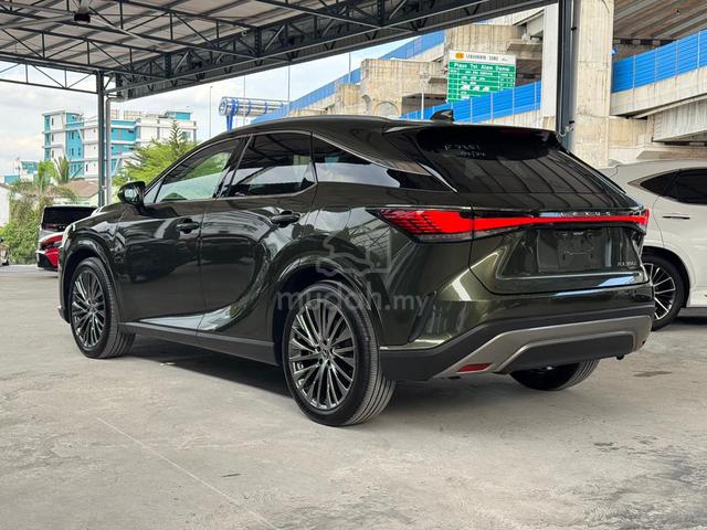 2024 Lexus RX350 2.4 TurboCharge Dark Green Colour - 3
