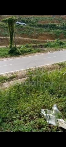 Agriculture land 9 Acres jelebu titi facing main Road negeri sembilan 1