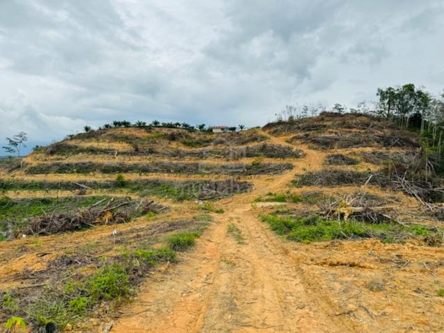 Freehold Agriculture Land For Sale At Slim River,Perak 1