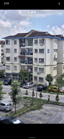 Birchwood Court 1