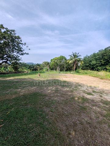 [Tepi Jalan Freehold] Banglo Kampung Giching, Salak Tinggi 1