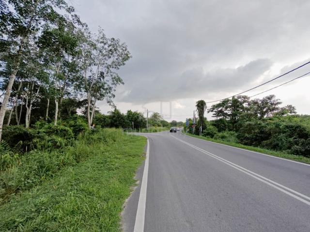Facing road Agriculture Land Pokok Sena For Sale 1