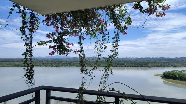 Ataraxia Park @ Forest City 1