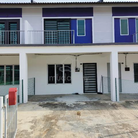 Scientex Lavender 2 1
