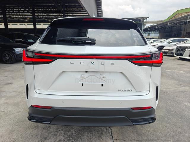 2023 Lexus NX 250 5A P/Roof 4Cam HUD Black Leather - 4