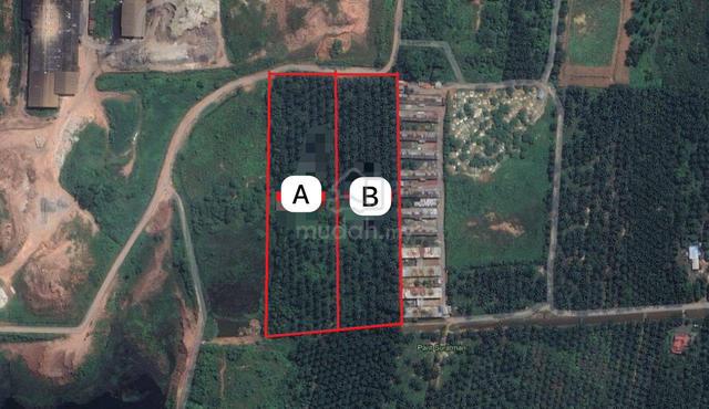 Tanah Pertanian ‼️ Jual Murah ‼️ Yongpeng Johor 🍀 1
