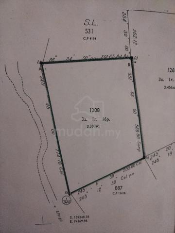 Tanah pertanian untuk dijual di Chenor 1