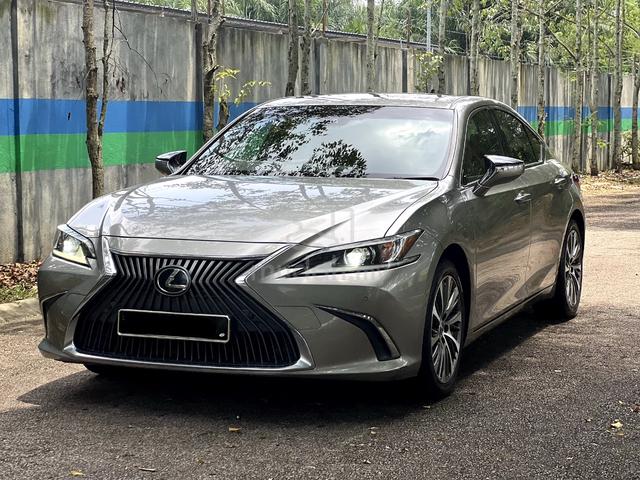 2019 Lexus ES250 2.5 LUXURY | Full Service Lexus - 5