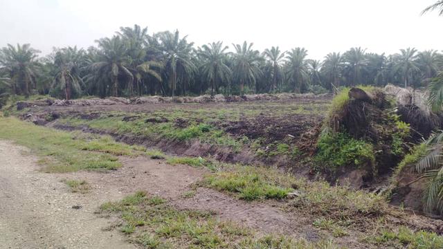 Banting Land for Sale 3
