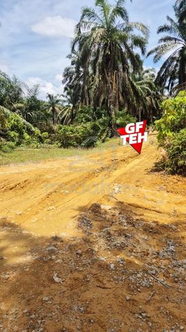 4.18 Acre Agricultural Land | Old oil Plam Trees | Selama | Perak b 1