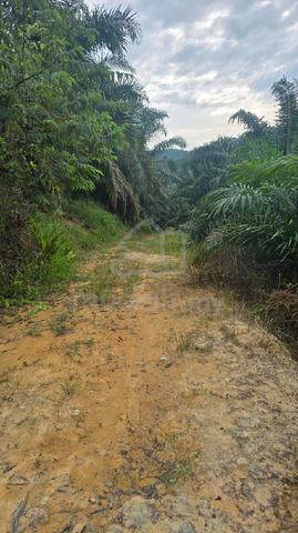 Tanah Rizab Melayu 4 Ekar 1