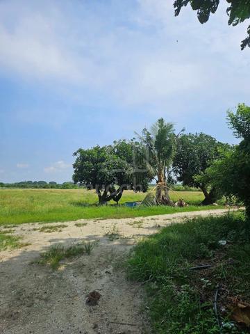 13.385 Acres Agricultural Land @ Tanjong Tualang Perak 1