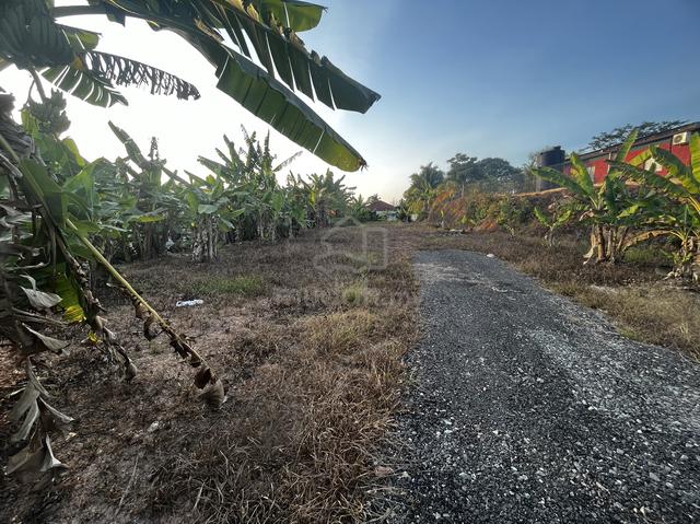Desa murni sanggang 1