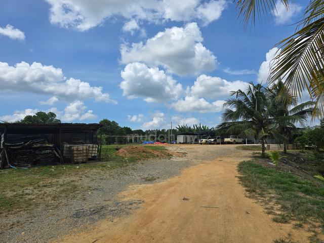 RAUB PAHANG DURIAN FARM FOR SALES (Tanah untuk dijual) 1
