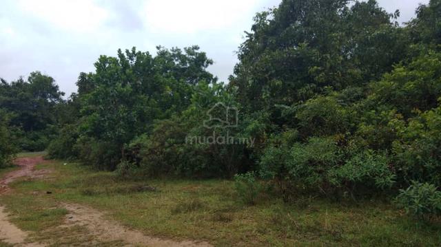 Lot Banglo PADANG PULUTPadang Pulut - Untuk Dijual Segera- URGENT!! 2