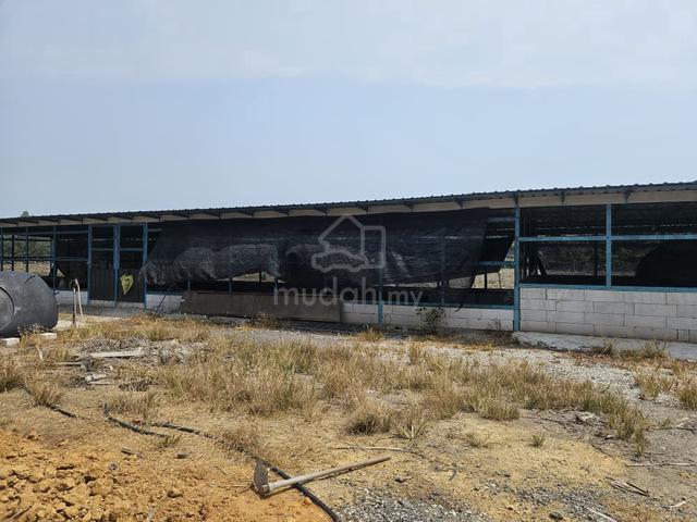 Agriculture land Sungai Yu Kuala Selangor 1