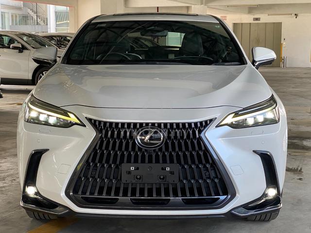 2023 Lexus NX250 VERSION L FREE TINTED - 3