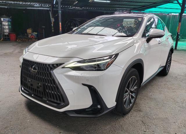 2023 Lexus NX 250 2.5 VISION LUXURY P/ROOF HUD - 2
