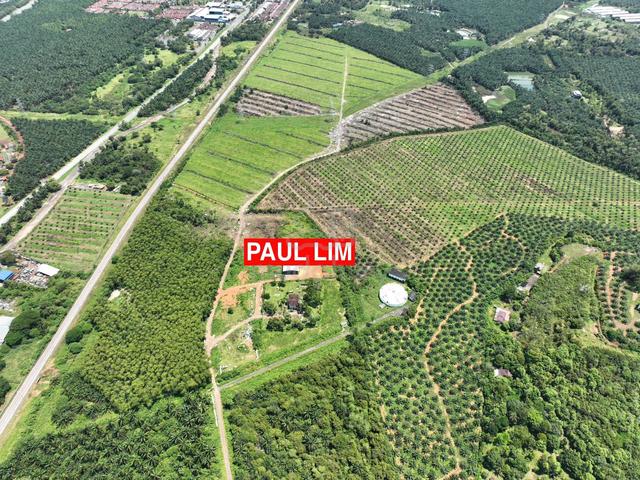 LAND SALE At BEDONG NEAR SEKOLAH SUNGAI TOK PAWANG 98.95 ACRE 4