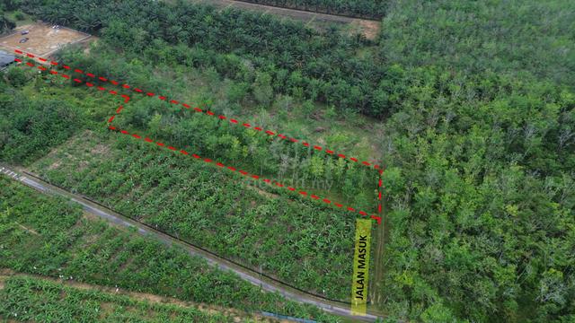 Tanah di Kg Permatang Pasir Linggi Untuk Dijual 1