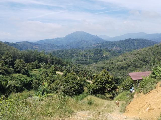Freehold Agri-Land for Sale @ Bentong, Pahang 4