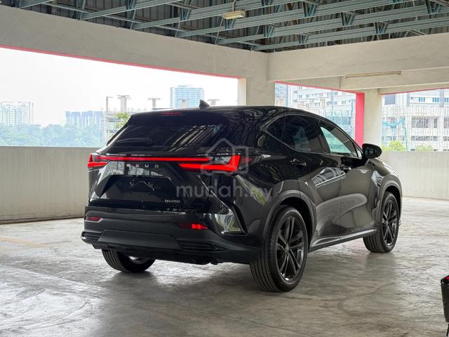 2023 Lexus NX250 LUXURY Spec Black+Black Seat - 4