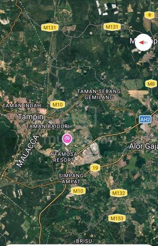 [For Sale] Boutique Durian Orchard in Alor Gajah, Melaka | 6.062 Acres 1