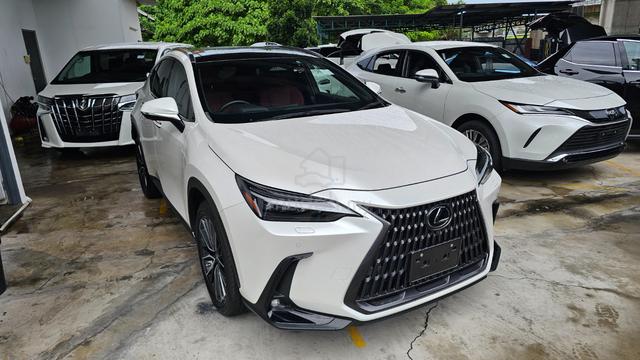 2023 Lexus NX 250 VERSION L 5A GRADE 19K KM - 2