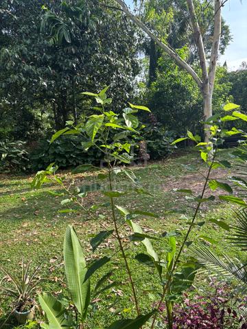 1 acre flat land facing main road and beach 1