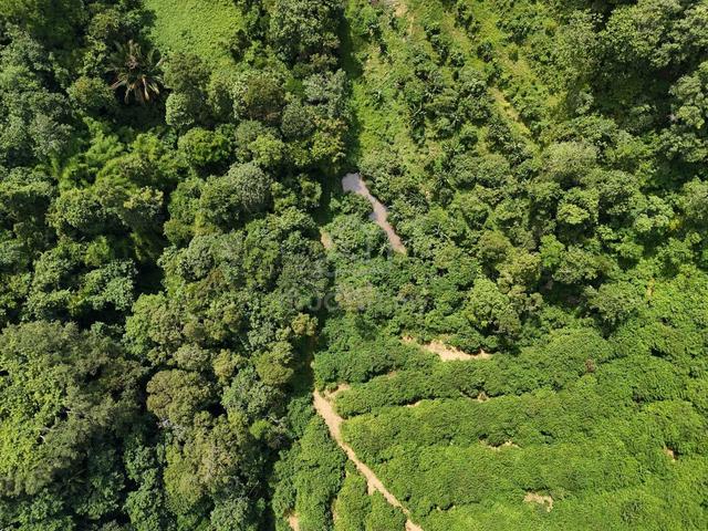 kuala Kangsar / Agricultural Land For Sale / 3.2 Acres / Water Source 1