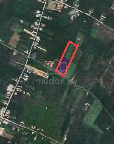 Road Side Pontian-Benut Land 1