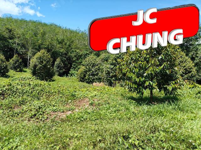9.9 Acres Durian Land For Sale @ Lenggong , Perak 4